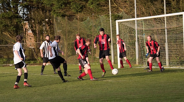 无疑是其中 无疑是其中