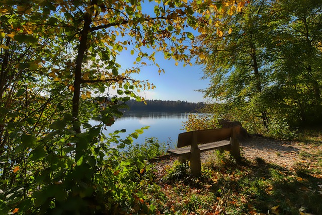 用市场规律 用市场规律