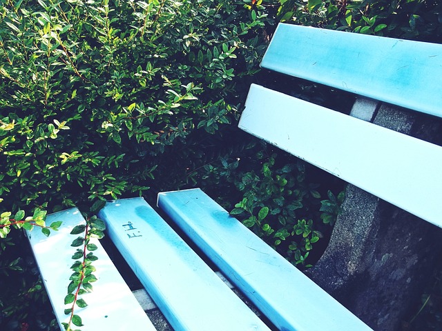 生机与活力 生机与活力