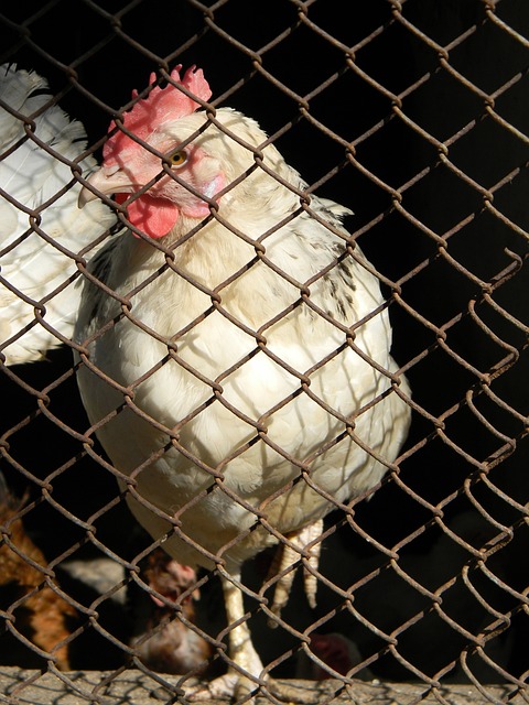 成功晋级1 成功晋级1