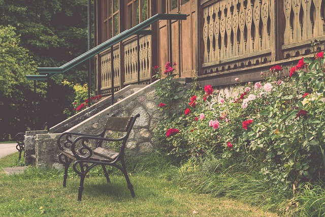 津门虎迅速 津门虎迅速