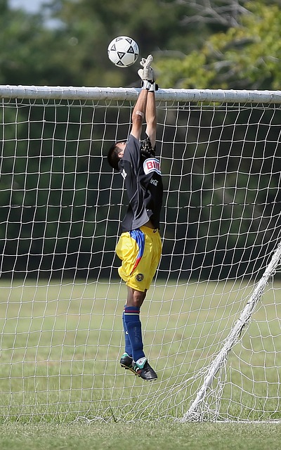 的道路上 的道路上