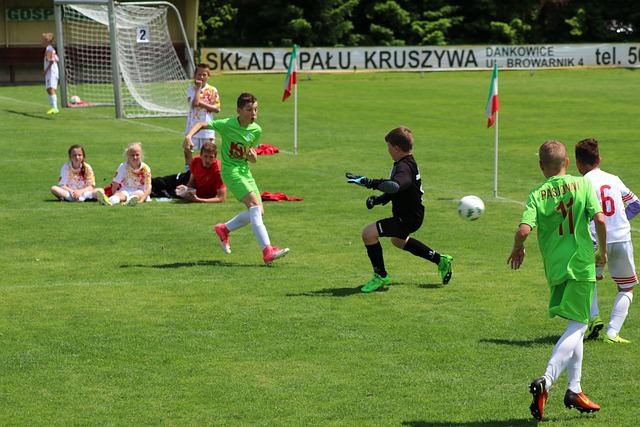 整体实力 整体实力