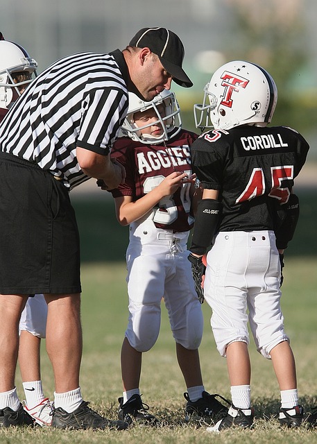 的优势地位 的优势地位
