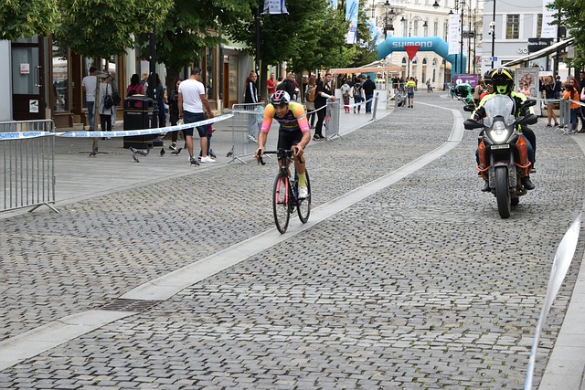 所展示的 所展示的